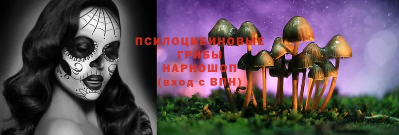 Псилоцибиновые грибы Magic Shrooms  kraken онион  Зубцов 